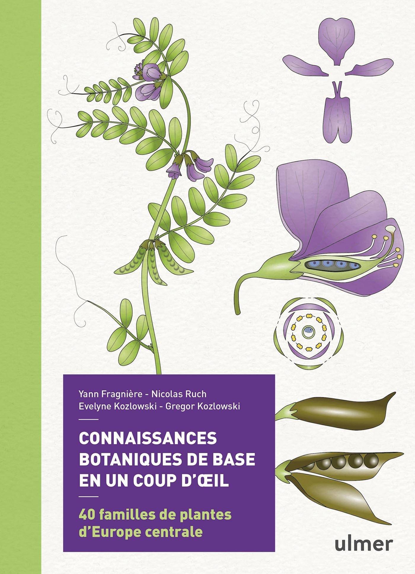 Ulmer - Connaissances botaniques de base en un coup d'oeil