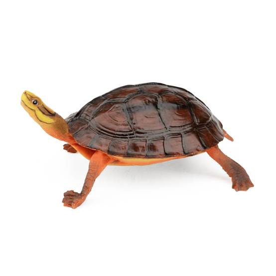 Aquatlantis - Aquatlantis - TORTUE TARTARUGA CASTANHA - Image 1
