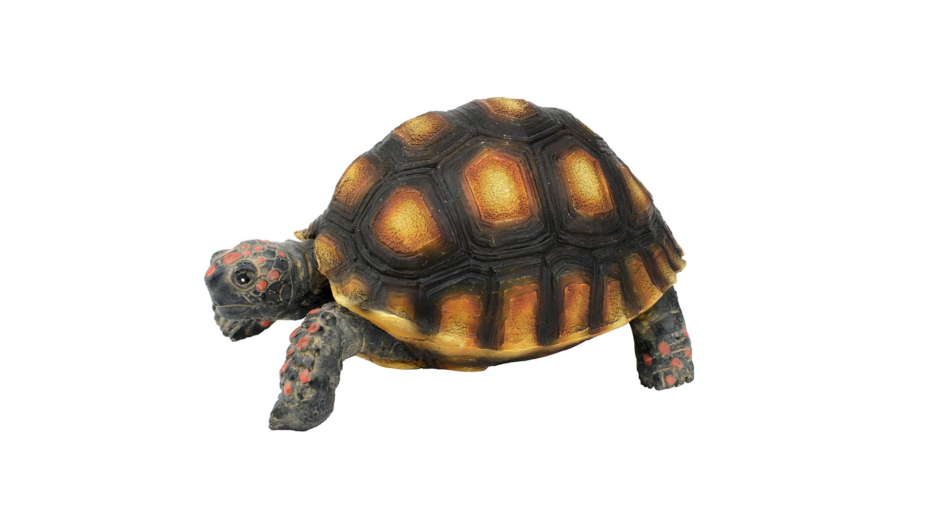 Aquatlantis - Aquatlantis - TORTUE TARTARUGA TIGRE - Imagen 2