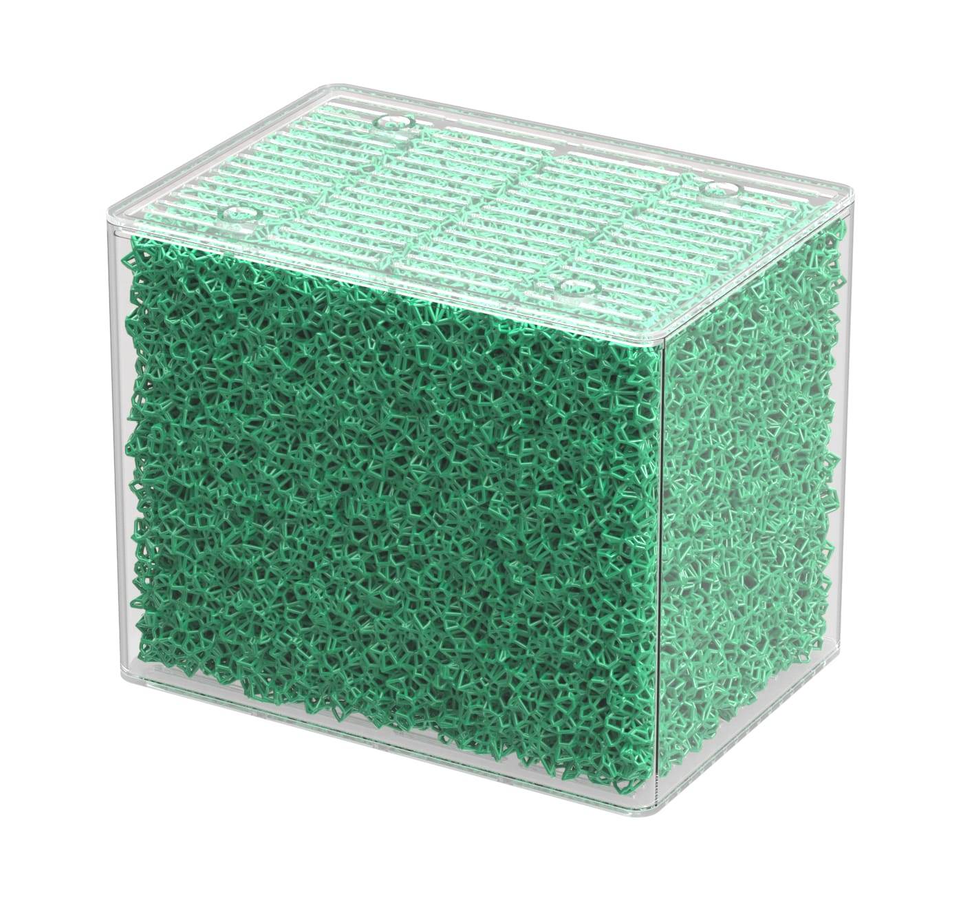 Aquatlantis - Aquatlantis - BIOBOX MOUSSE GROSSE LARGE VERT