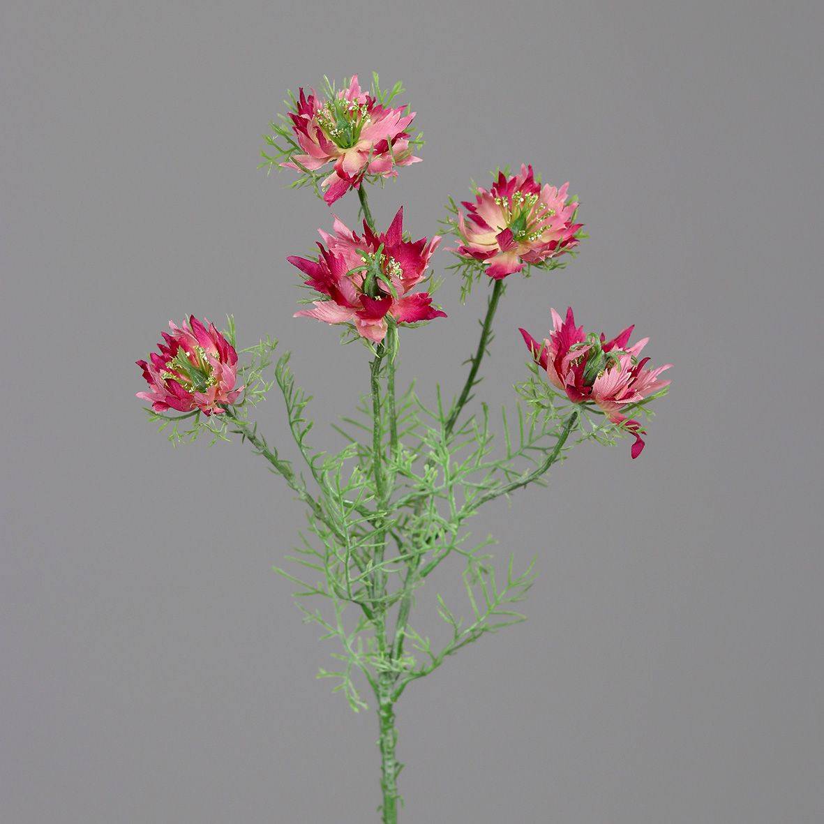 DPI - DPI - Tige de nigelle artificielle camaieu roses H.56 cm