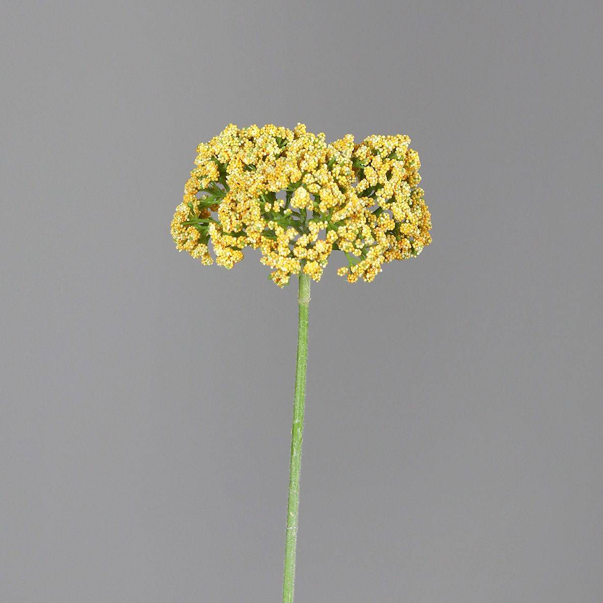 DPI - DPI - Tige artificielle fenouil batard jaune H.35 cm