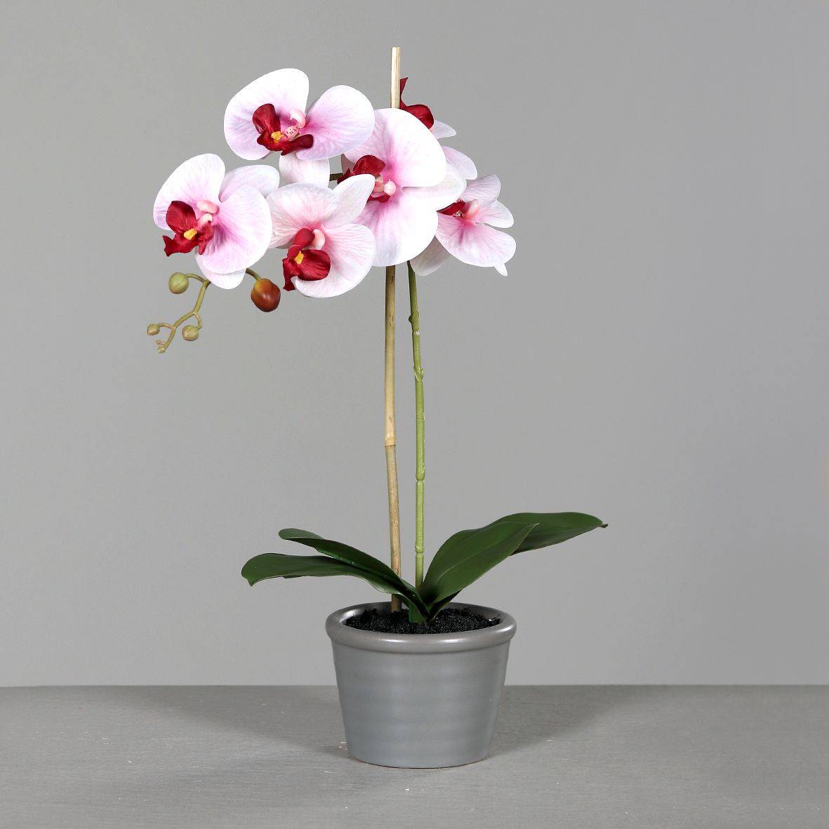 DPI - Orchidée blanc-rose artificielle en pot céramique gris H.53 cm