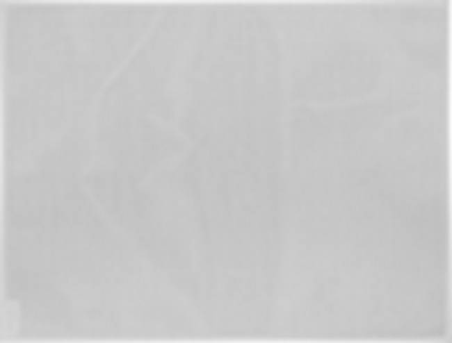 Fermob - Fermob - Set de table Gris Argile