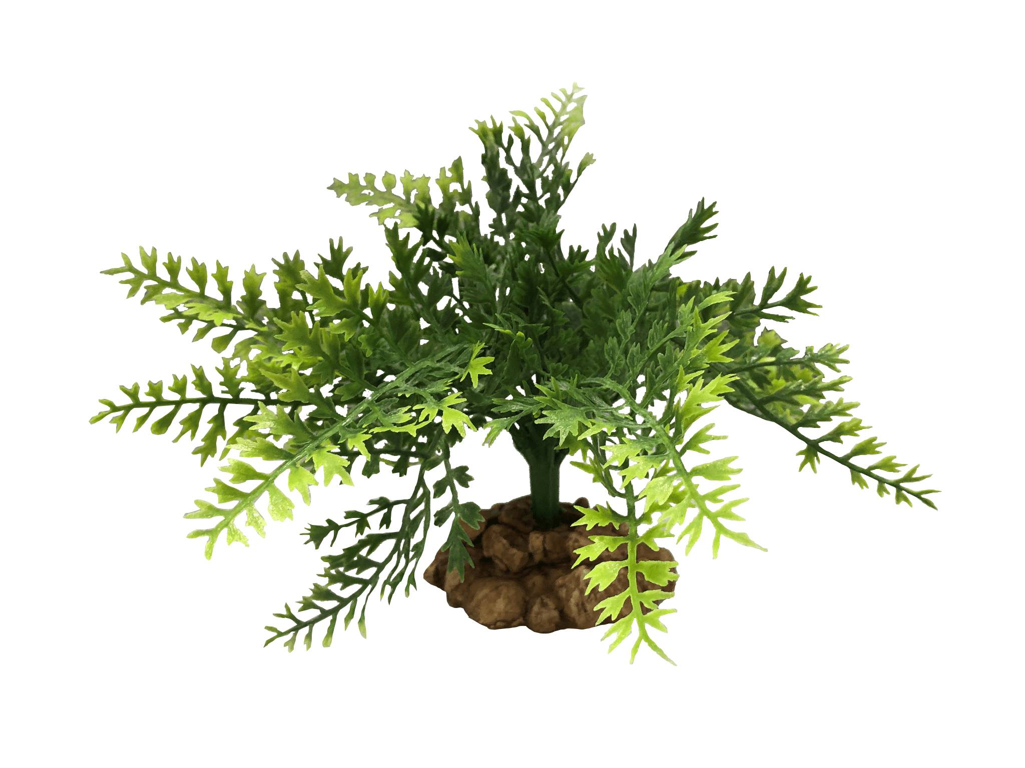 Aquavie - Decoration terrarium plantation L.24,5 x l.18,5 x H.17,5 cm