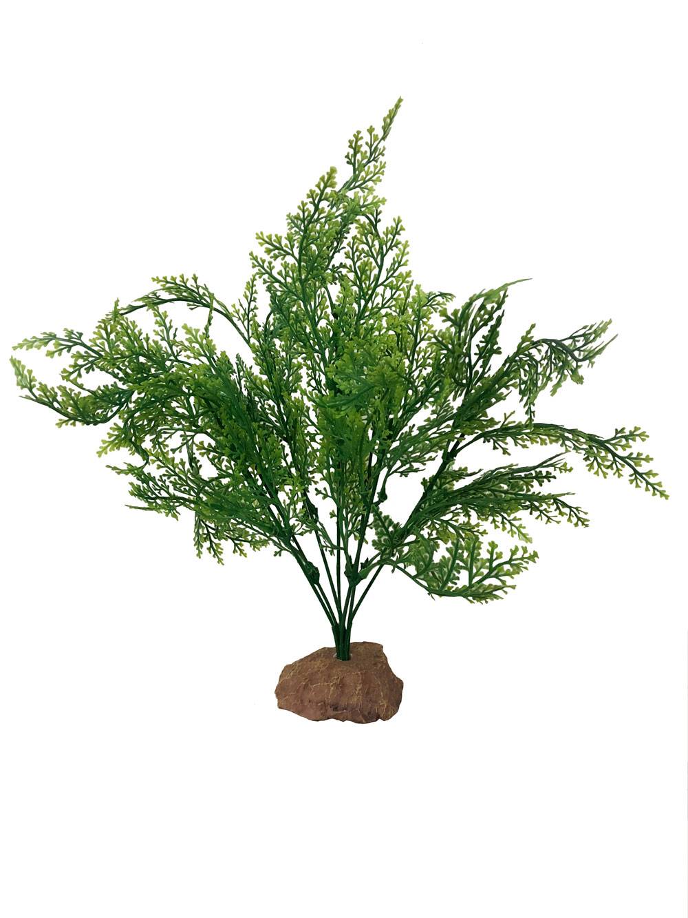 Aquavie - Décoration terrarium plantation feuillage L.30 x l.17 x H.30 cm