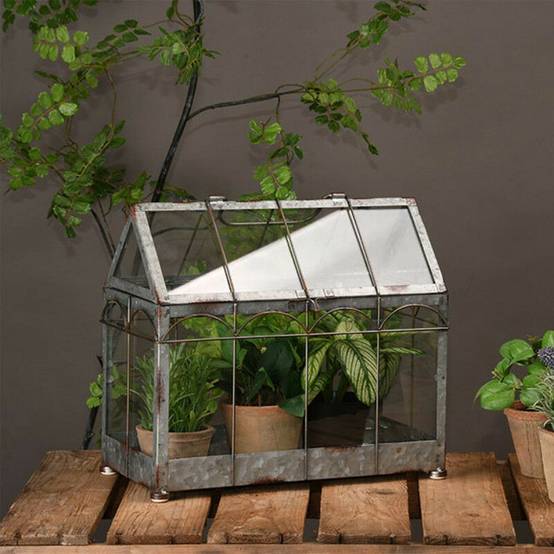 Mini serre fer verre 36 cm – - Image 2