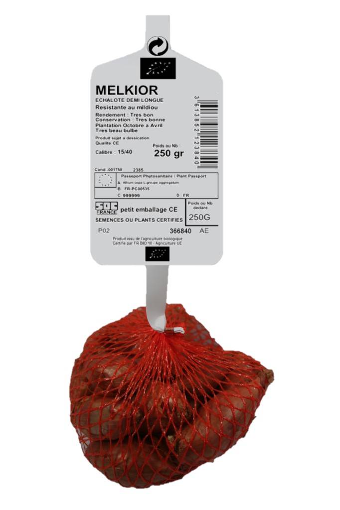 Bulbes Echalote demi-longue Bio Melkior 15/40 filet 250 g - Image 1