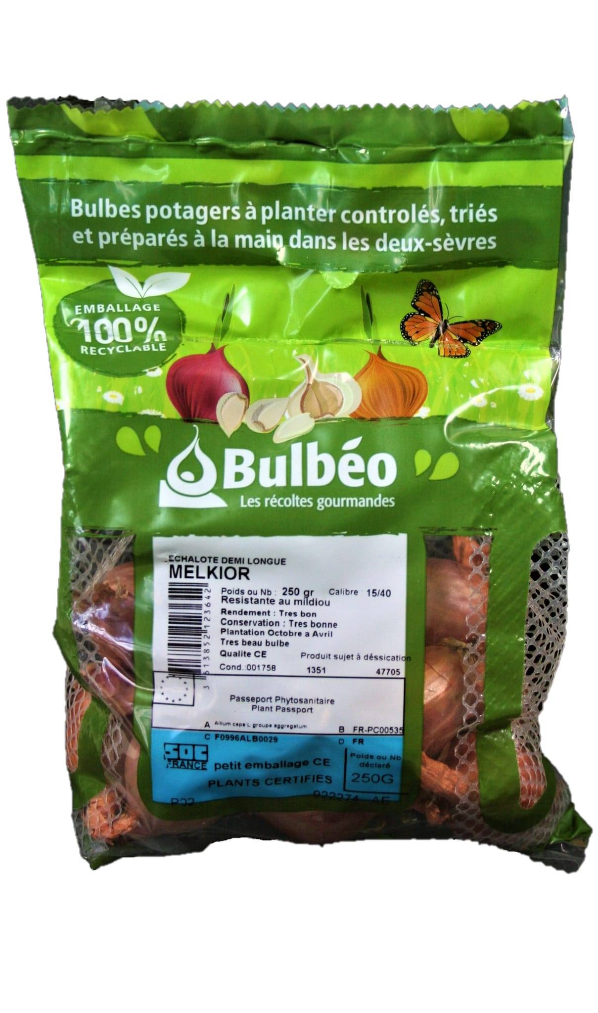 Bulbes Echalote demi-longue Bio Melkior 15/40 filet 250 g - Image 2