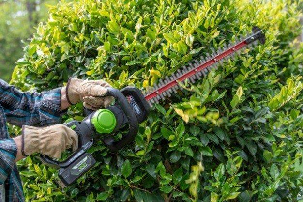 Greenworks - Taille-haies Sans-fil – GREENWORKS - Image 2