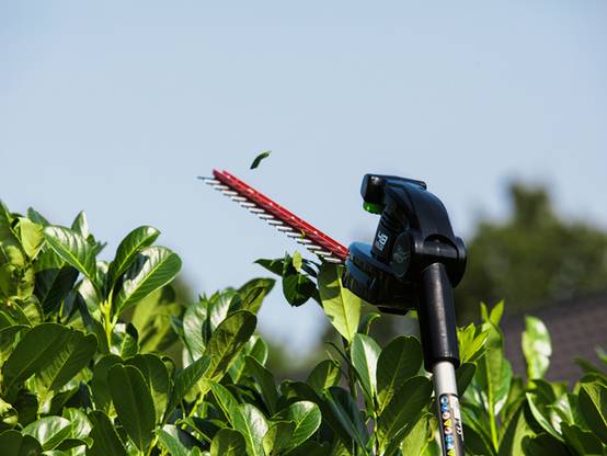 Greenworks - Taille-Haies Sur Perche Batterie - GREENWORKS - Image 2