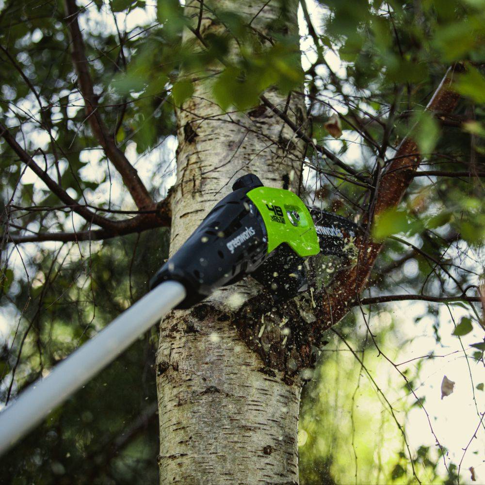 Greenworks - Élagueuse Sur Perche Batterie - GREENWORKS - Image 3