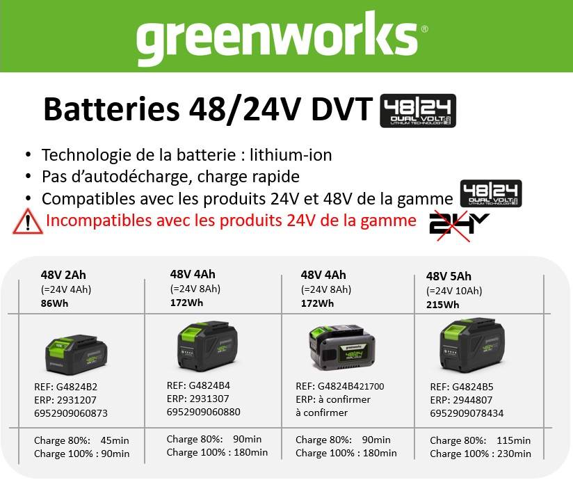 Greenworks - Batterie Lithium-Ion – GREENWORKS - Image 4