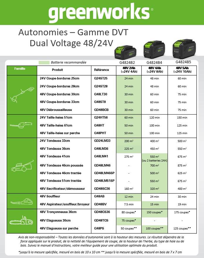 Greenworks - Batterie Lithium-Ion – GREENWORKS - Image 2