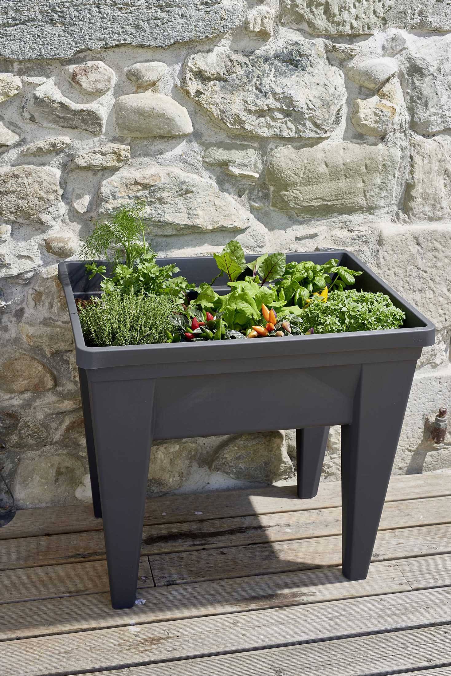EDA Plastiques - Espace potager Veg&Table Max - EDA - Image 2