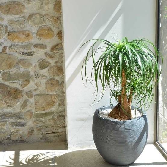 Pot rond double paroi gris anthracite - EDA - Image 4