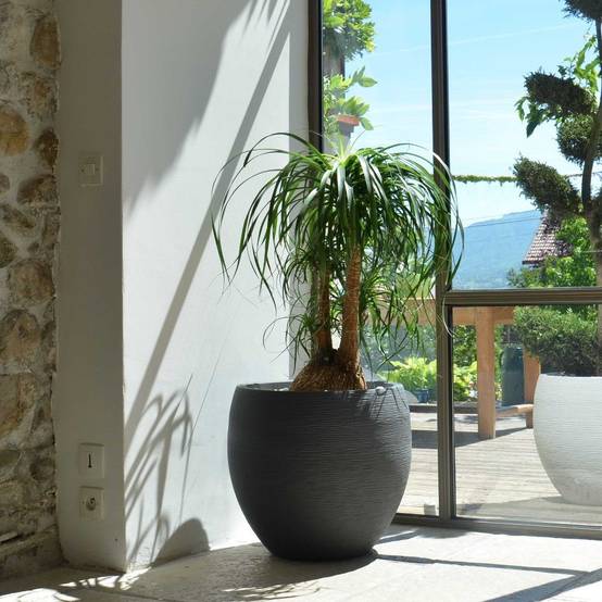 Pot rond double paroi gris anthracite - EDA - Image 2