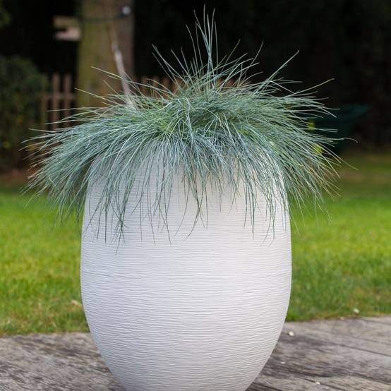 Pot Toscane 48 - Moka - EDA - Image 6