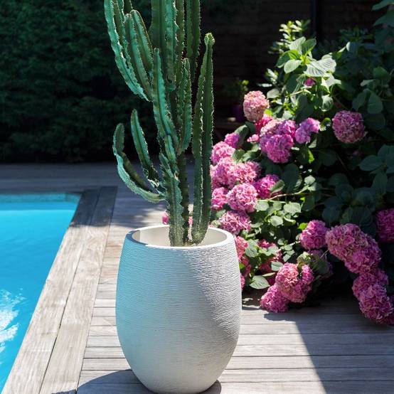 Pot Toscane 48 - Moka - EDA - Image 7