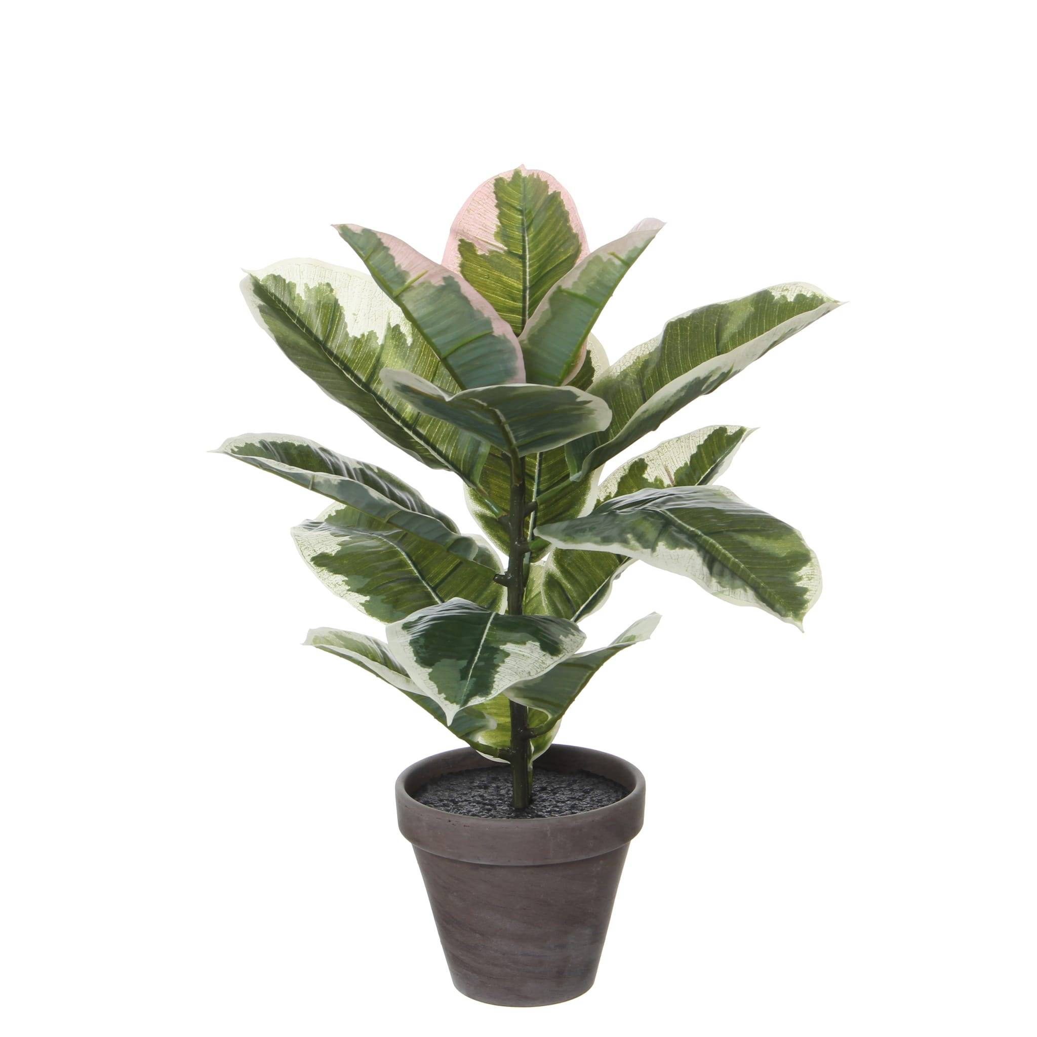 Mica Decorations - Caoutchouc vert panaché artificiel en pot Ø.34 x H.47 cm
