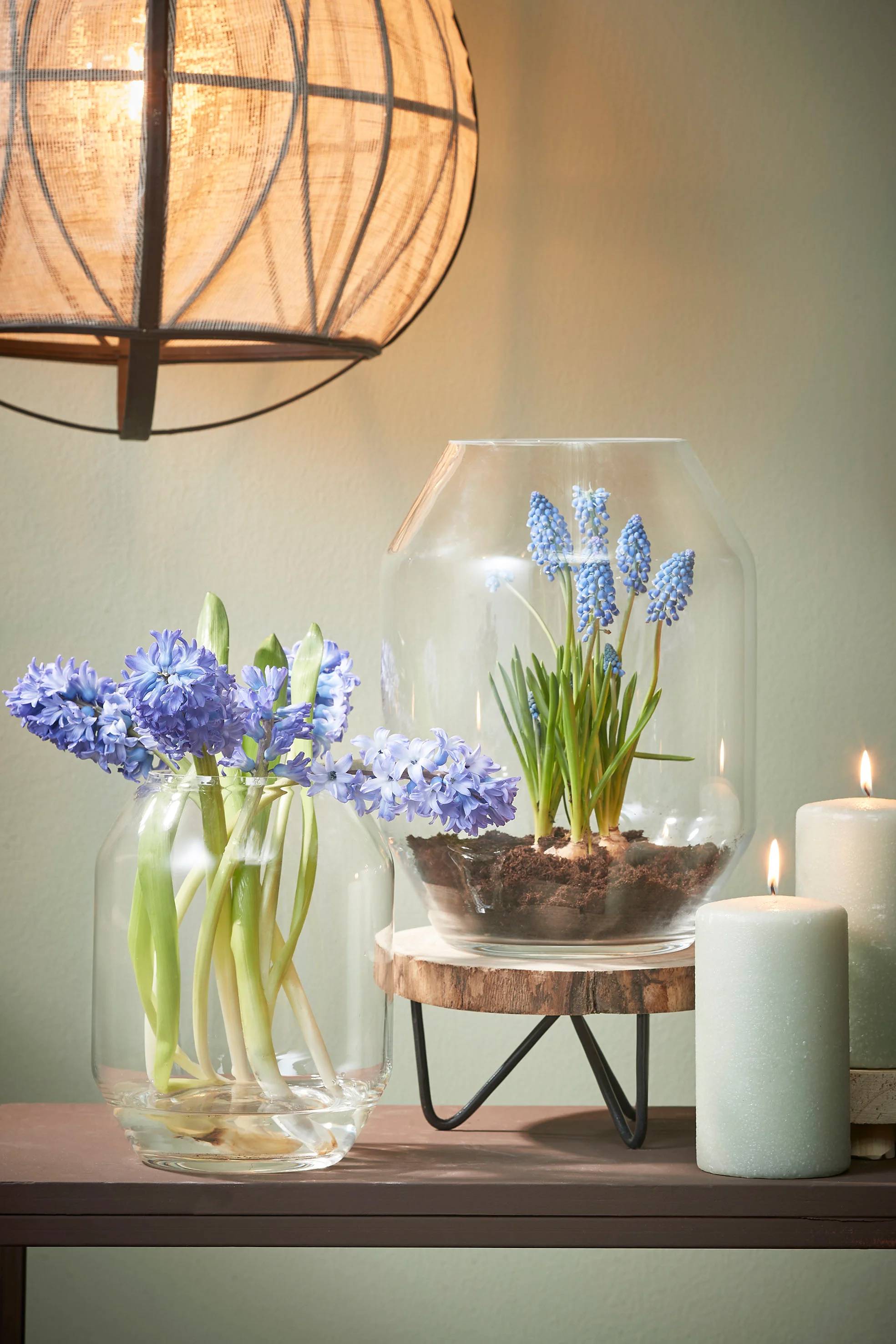 Mica Decorations - Vase Dali verre transparent H 33 cm Ø 25 cm – MICA DECORATIONS