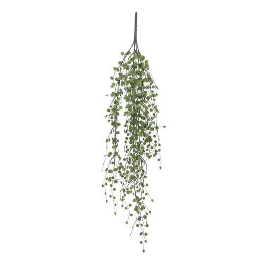 Peperomia suspendre vert -PE (polyethylene)-Vert- l80xb15xh4cm