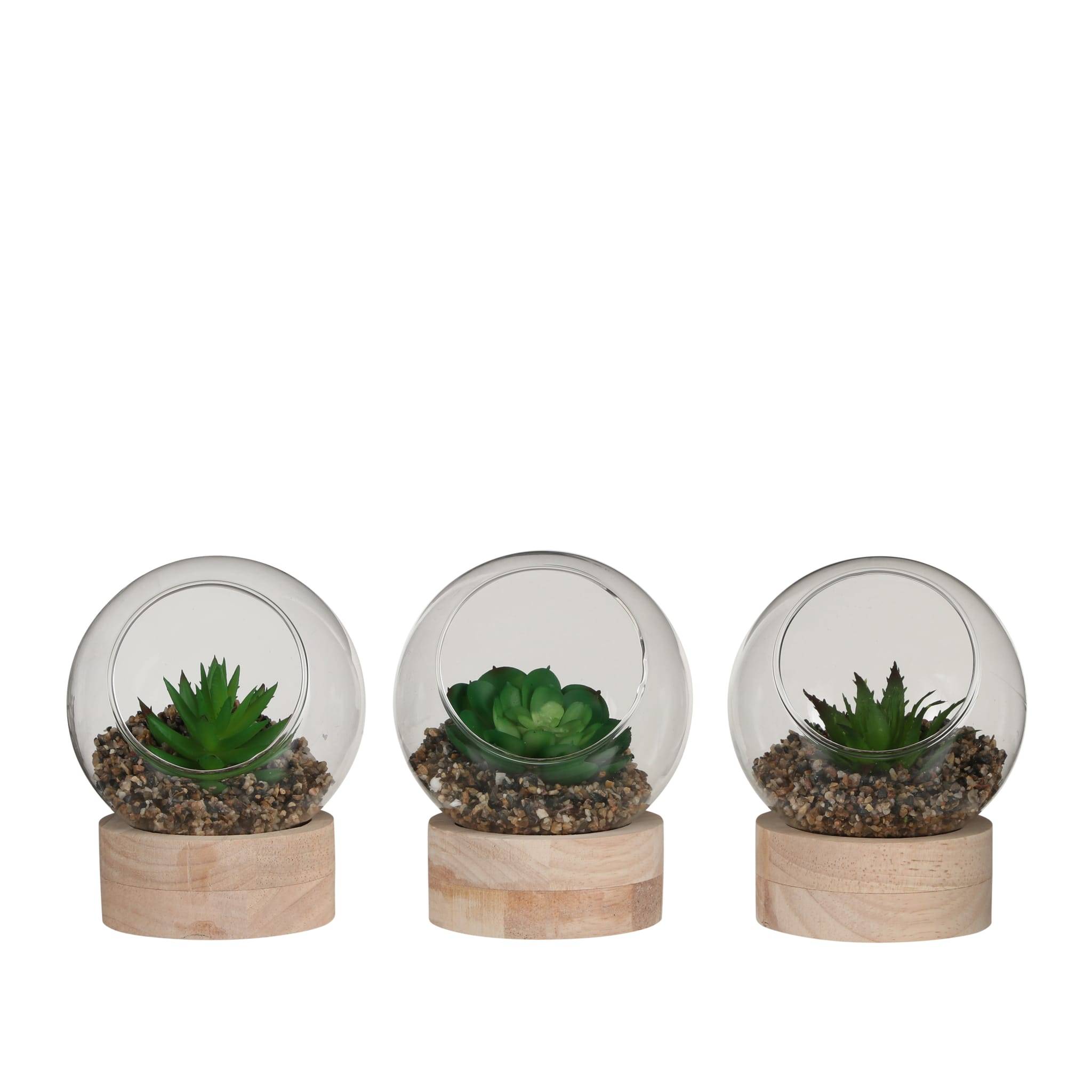 Mica Decorations - Succulente artificielle en terrarium Ø.10 x H.10 cm