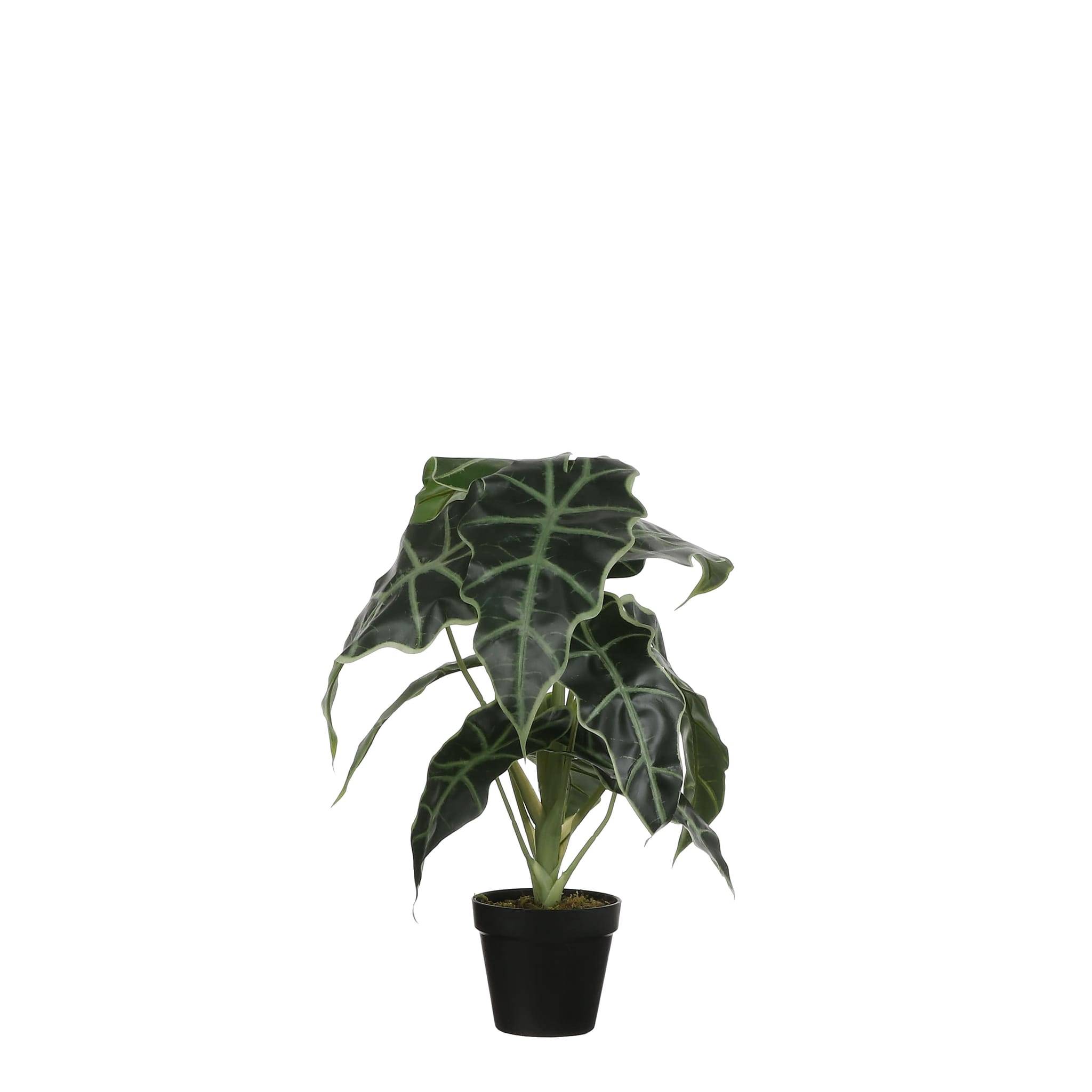 Mica Decorations - Mica Decorations - Alocasia artificiel en pot Ø.30 x H.50 cm