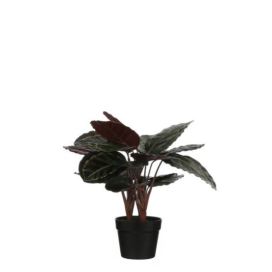 Mica Decorations - Calathea roseopicta artificiel en pot Ø.40 x H.60 cm