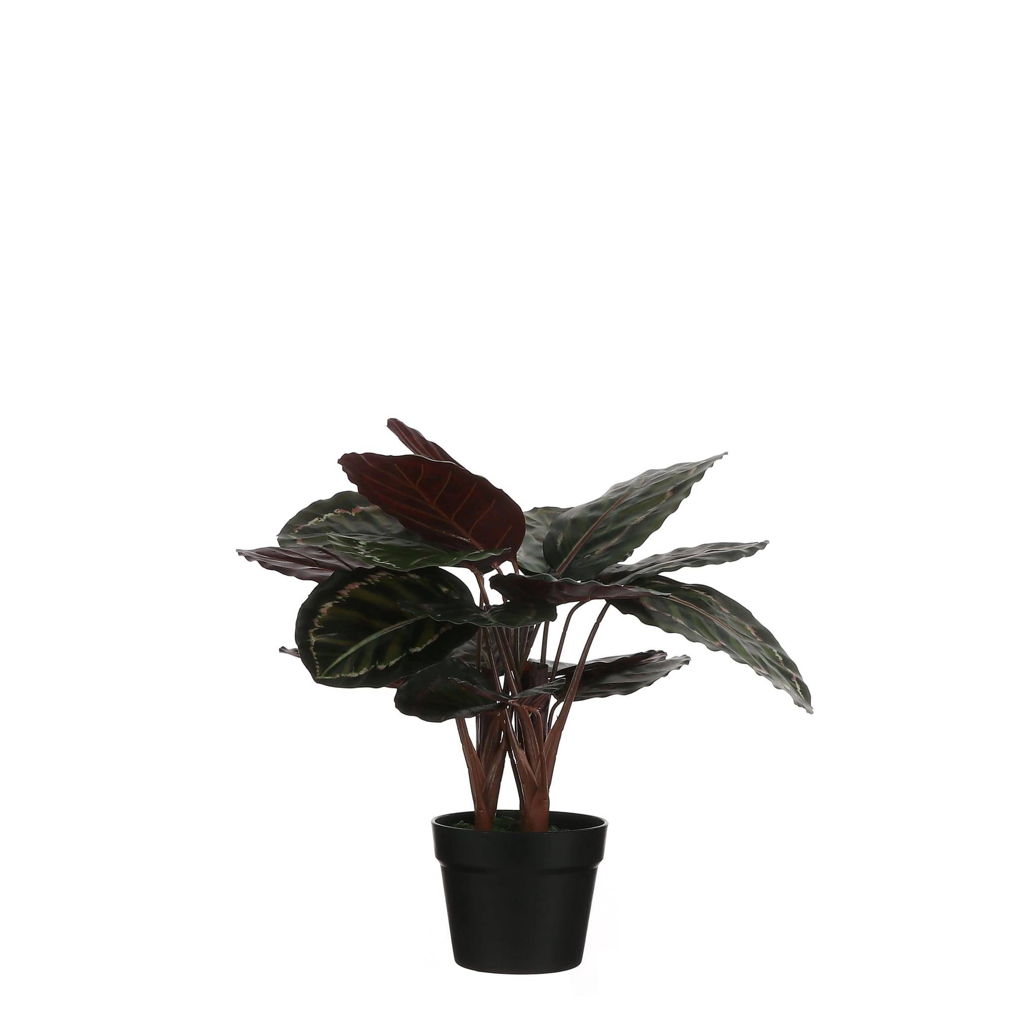 Mica Decorations - Calathea roseopicta artificiel en pot Ø.40 x H.60 cm