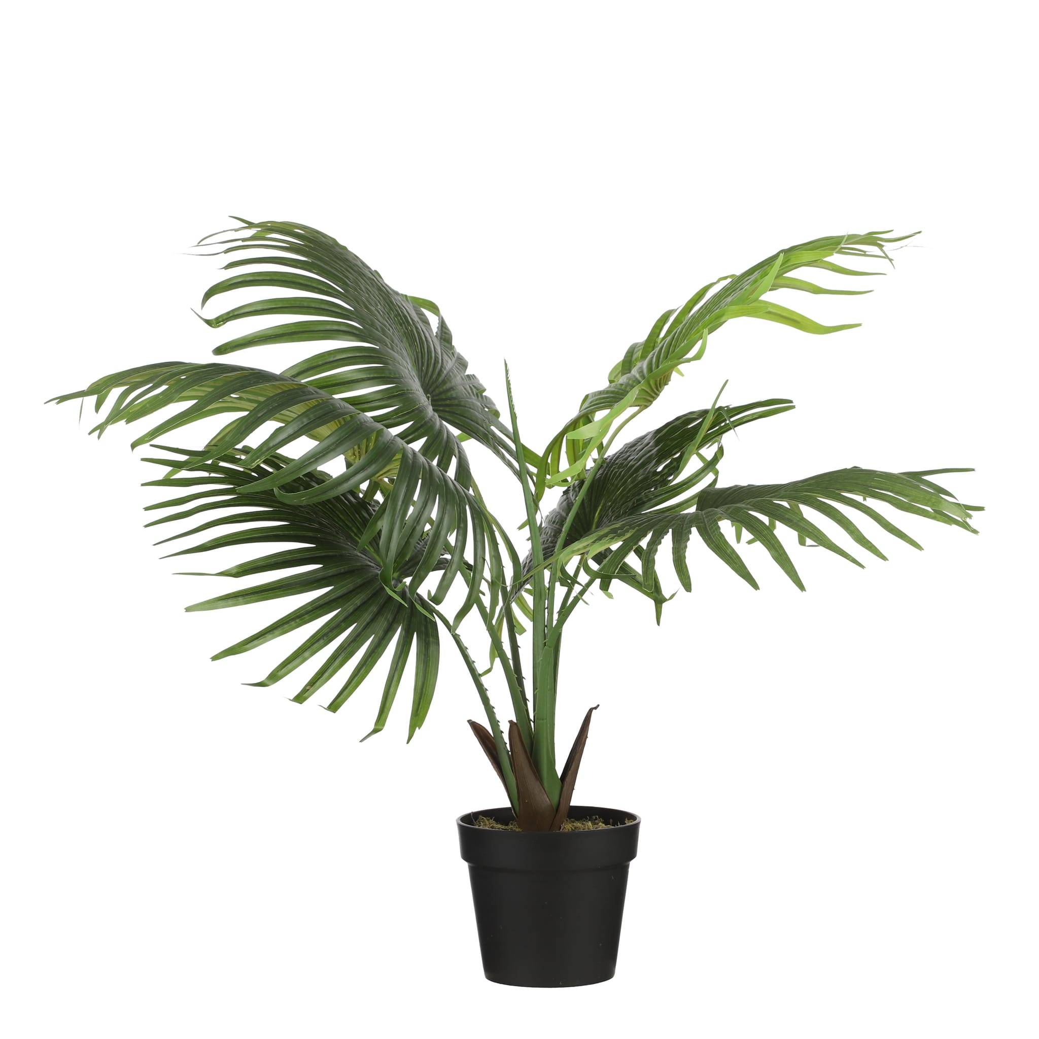 Feuille de palmier en pot vert -polyester-Vert- h80xd80cm