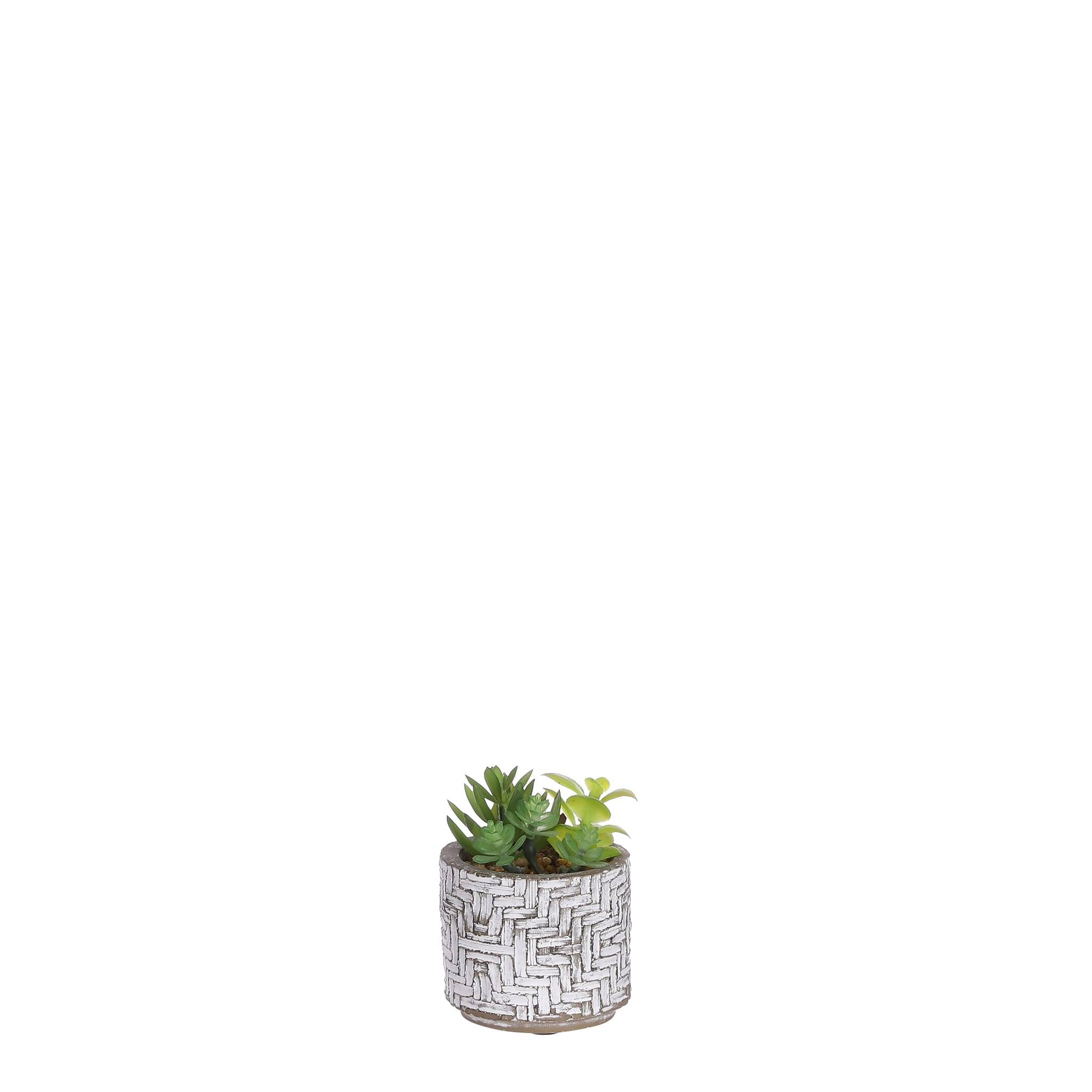 Mica Decorations - Succulente artificielle en pot Ø.7,50 x H.10,50 cm