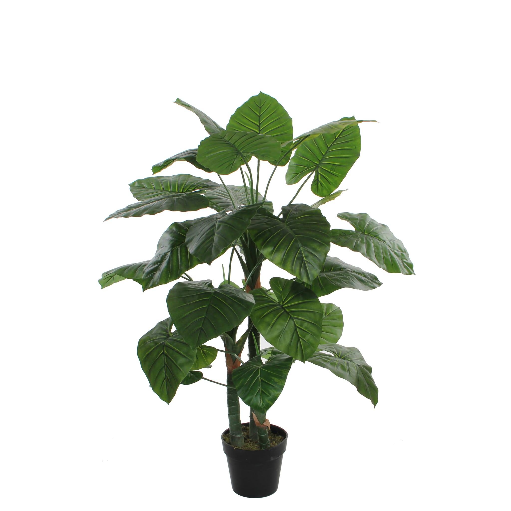 Taro en pot plastique vert -polyester-Vert- h120xd60cm
