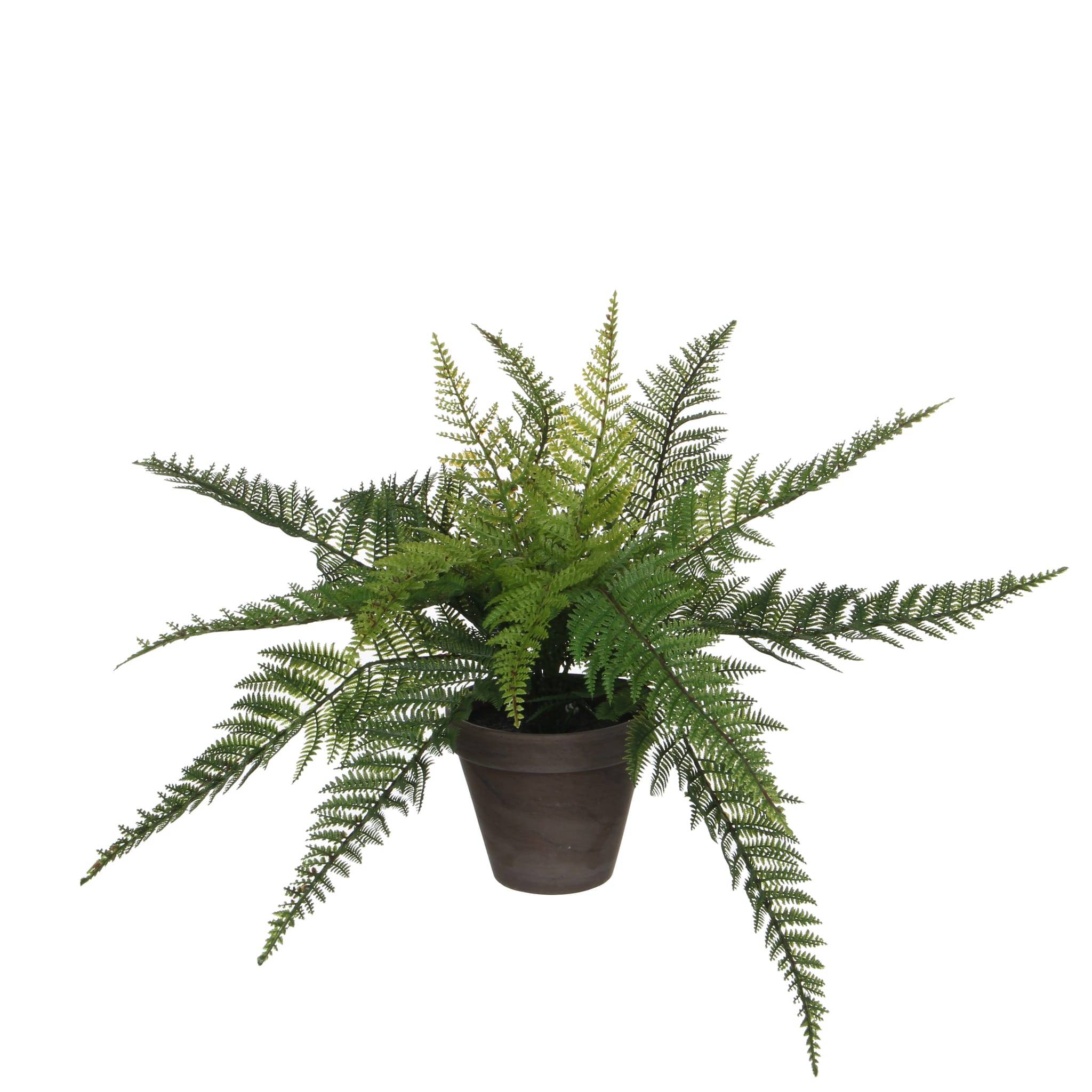 Fougère Verte - MICA DECORATIONS