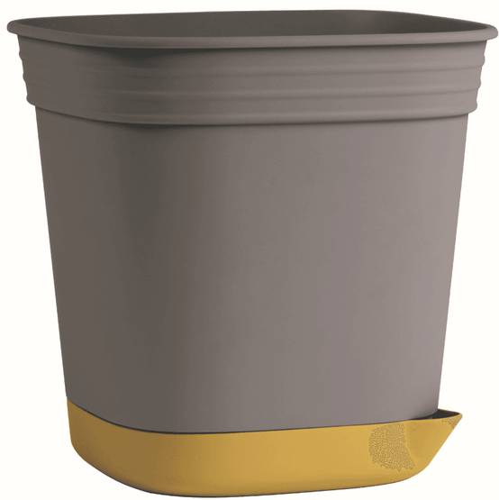 Godets aromates 7,5 x 7,5 x 8cm - gris ardoise/moutarde