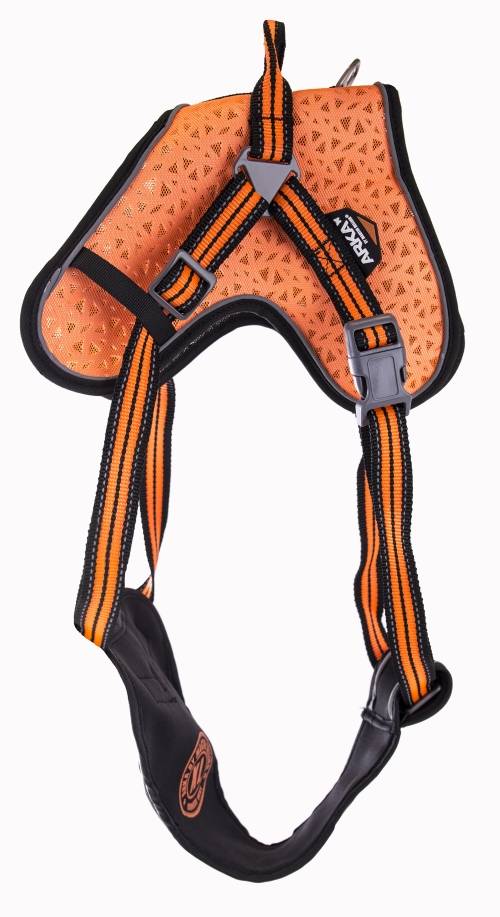 Martin Sellier - Arnés multideporte para perro ARKA DOG