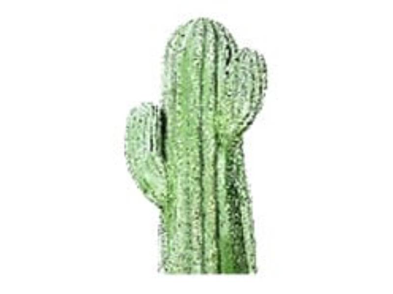 Cactus Objet Décoratif Pierre Reconstituée W.HAIRIE