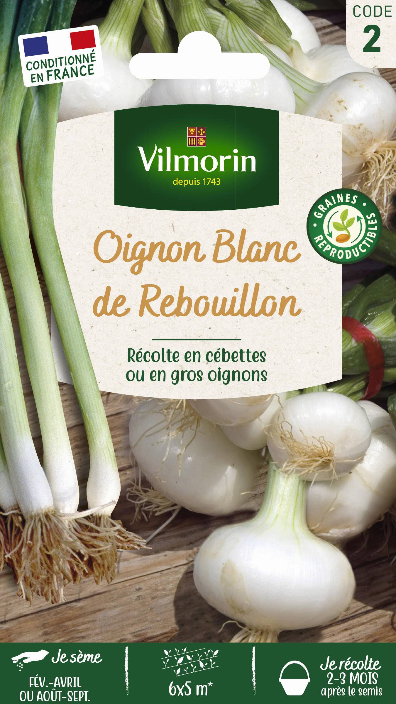 Vilmorin - Oignon Rebouillon série 2 sachet graines 5 g - Vilmorin - Image 2