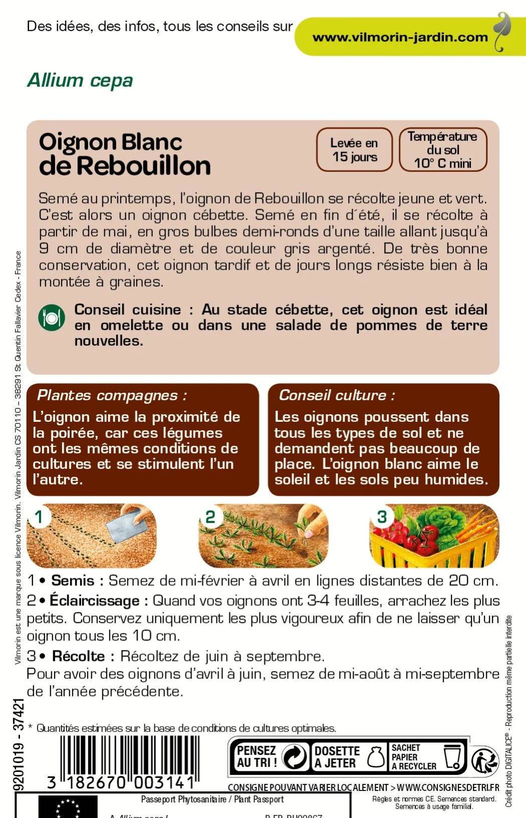 Vilmorin - Oignon Rebouillon série 2 sachet graines 5 g - Vilmorin - Image 4