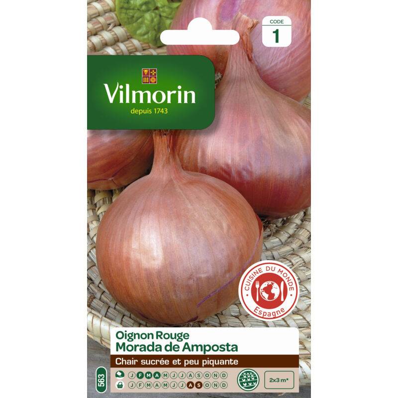 Vilmorin - Oignon Rouge Morada de Amposta  serie 1 sachet graines 5 g - Vilmorin