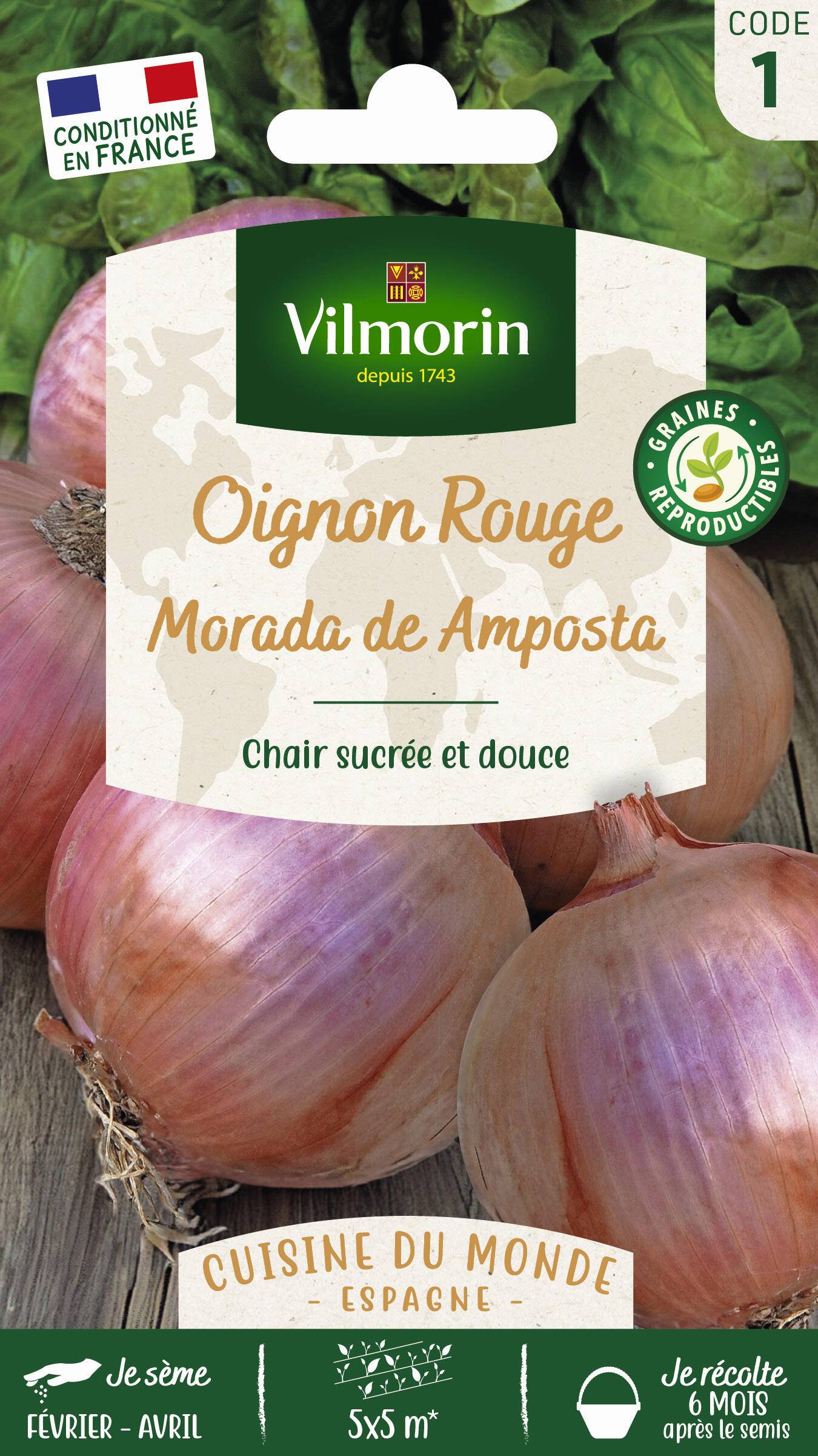 Vilmorin - Oignon Rouge Morada de Amposta  serie 1 sachet graines 5 g - Vilmorin