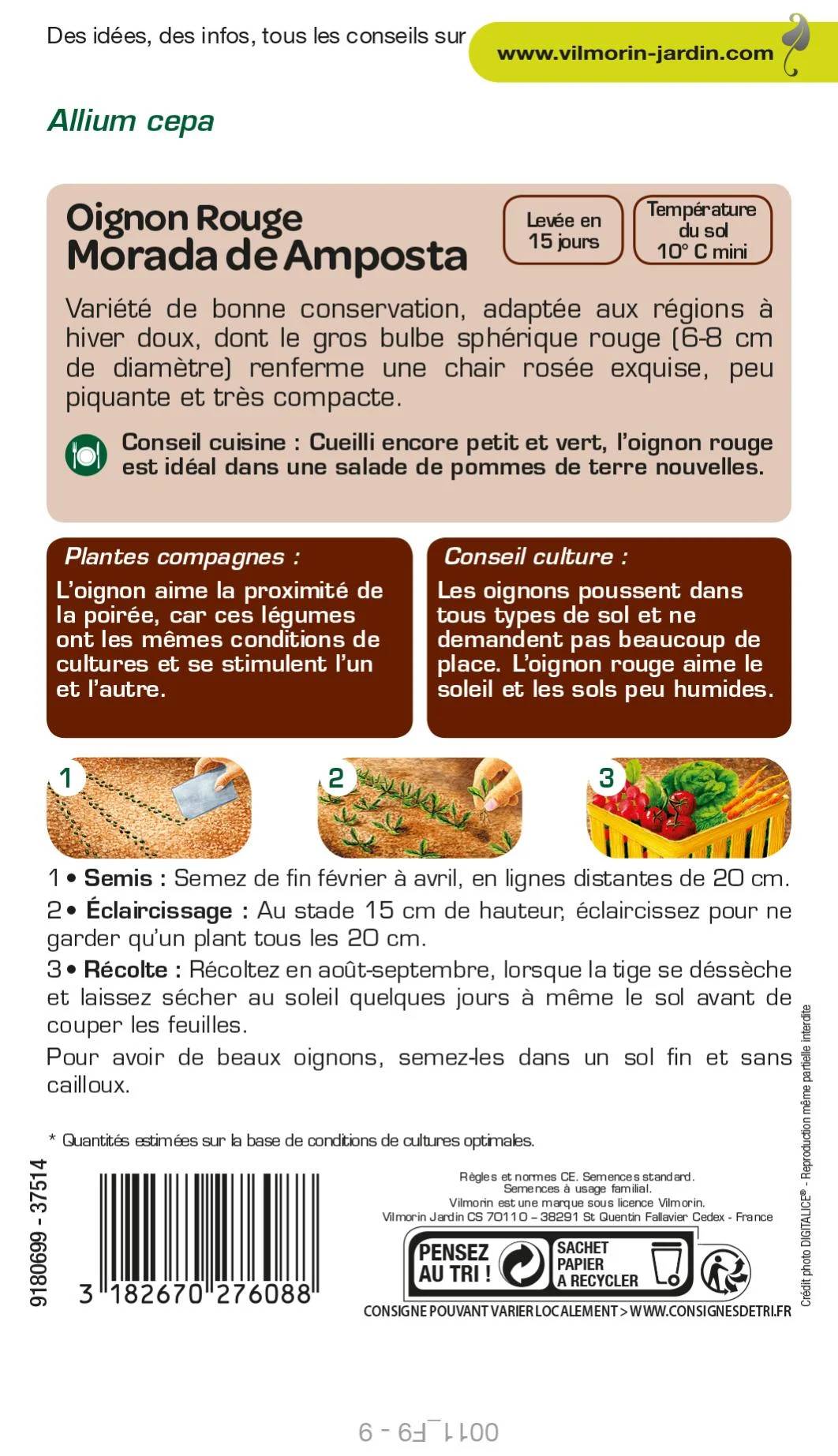 Vilmorin - Oignon Rouge Morada de Amposta serie 1 sachet graines 5 g - Vilmorin - Image 3