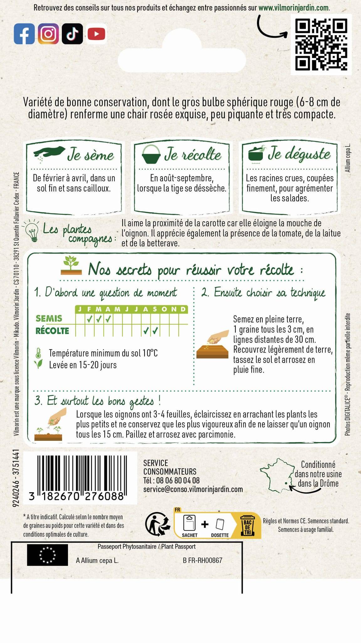 Vilmorin - Oignon Rouge Morada de Amposta serie 1 sachet graines 5 g - Vilmorin - Image 4