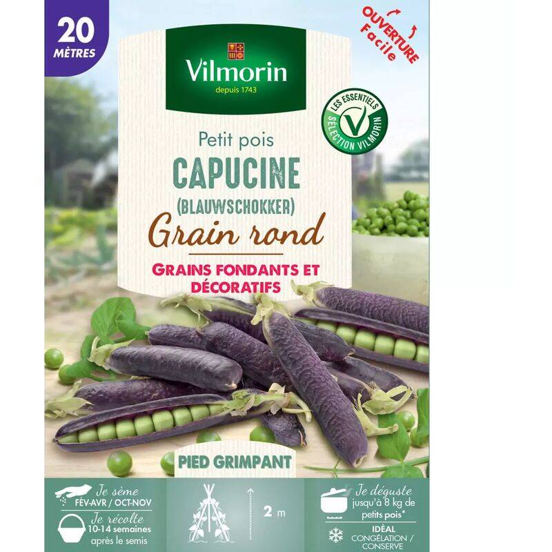Graines de pois à rames capucine (blauwshokker) 185 g - Vilmorin - Image 3