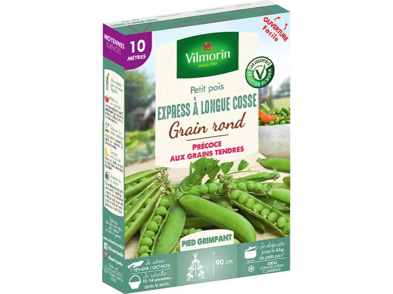 Vilmorin - Pois Express à longue cosse série 10m sachet graines 97 g - Vilmorin - Image 2