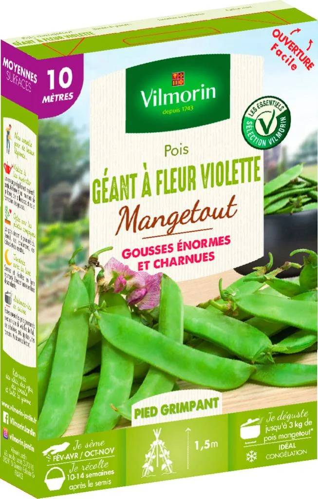 Vilmorin - Pois Mangetout Géant à Fleur Violette serie 10M boîte graines 110 g - Vilmorin