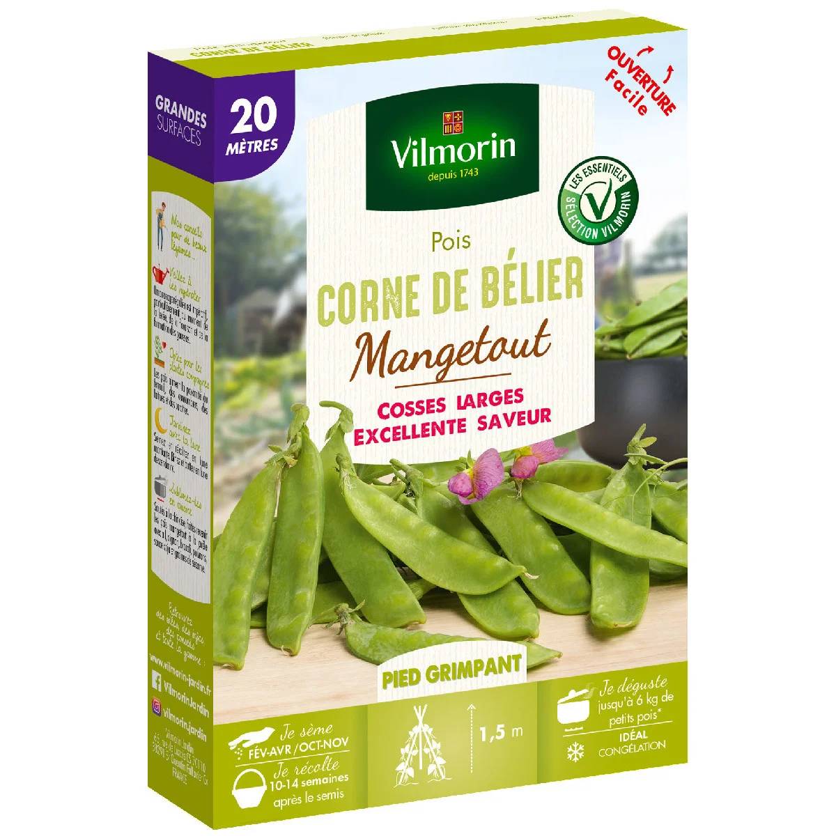 Vilmorin - Pois Mangetout Corne de Bélier serie 20M boîte graines 150 g - Vilmorin - Image 2