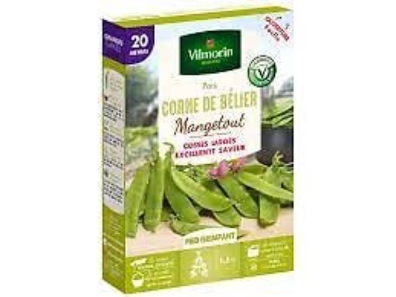 Vilmorin - Pois Mangetout Corne de Bélier serie 20M boîte graines 150 g - Vilmorin - Image 1