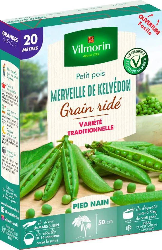 Vilmorin - Pois Merveille de Kelvedon série 20m sachet graines 246 g - Vilmorin - Image 2