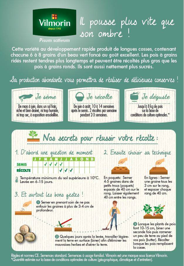 Vilmorin - Pois Kelvil série 20 m sachet graines 200 g - Vilmorin - Image 3